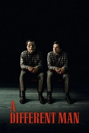 A Different Man 2024 Hindi Dual Audio HD Poster Download - Filmyzilla