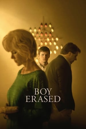Boy Erased (2018) Hindi Dual Audio 380MB HD Poster Download - Filmyzilla