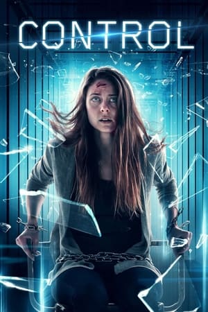 Control 2022 Hindi Dual Audio – HD Poster Download - Filmyzilla