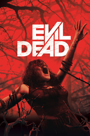 Evil Dead 2013 Hindi Dual Audio 300MB HD Poster Download - Filmyzilla