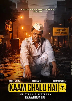 Kaam Chalu Hai 2024 Hindi Dual Audio HD Poster Download - Filmyzilla