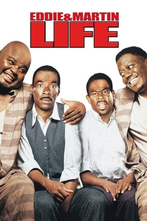 Life (1999) Movie Hindi Dual Audio [2GB] HD Poster Download - Filmyzilla