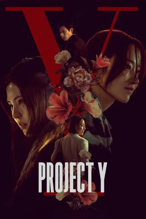 Project Y 2026 Hindi - Korean Dual Audio HD Poster Download - Filmyzilla