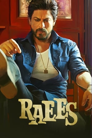 Raees 2017 200mb hindi movie HD Poster Download - Filmyzilla