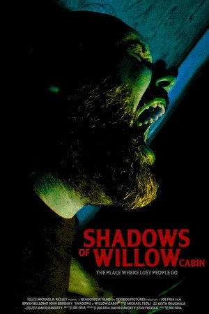 Shadows of Willow Cabin 2025 Hindi Dual Audio HD Poster Download - Filmyzilla