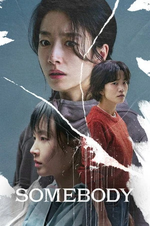 Somebody 2025 Hindi - Korean Dual Audio HD Poster Download - Filmyzilla
