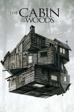 The Cabin in the Woods 2012 Dual Audio Hindi [150MB] HD Poster Download - Filmyzilla