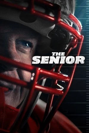 The Senior 2025 Hindi - English Audio HD Poster Download - Filmyzilla