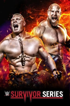WWE Survivor Series 2016 PPV HDTV [750mb] HD Poster Download - Filmyzilla